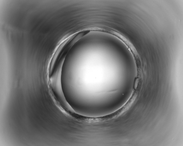 X0000087640858200705101046