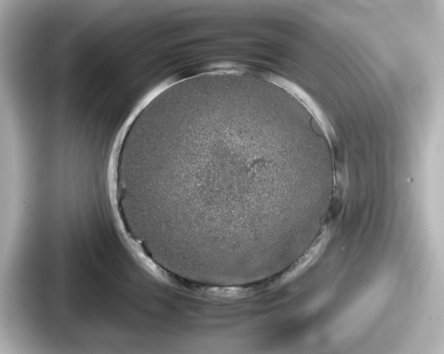 X0000087640859200705101046