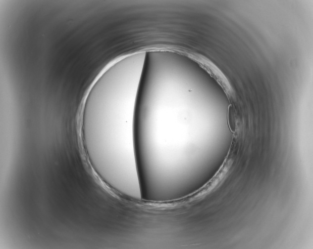 X0000087640860200705101046