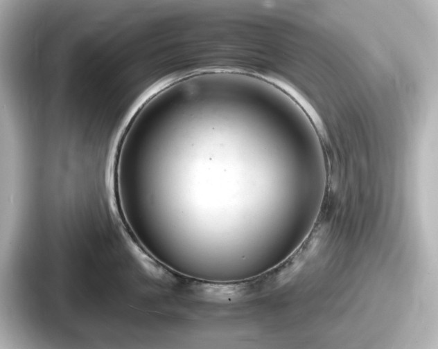 X0000087640861200705101046