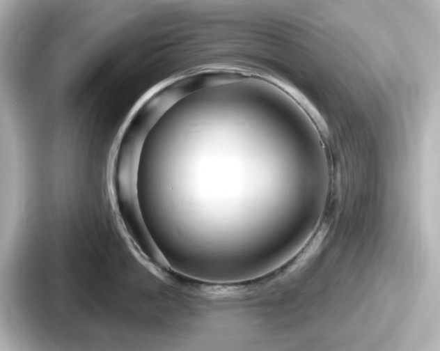 X0000087640862200705101046