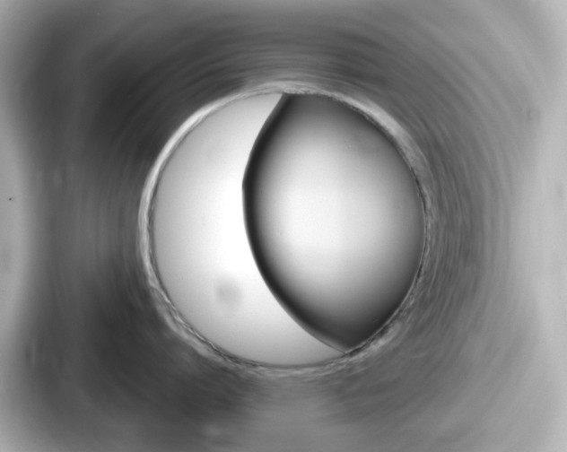 X0000087640864200705101046