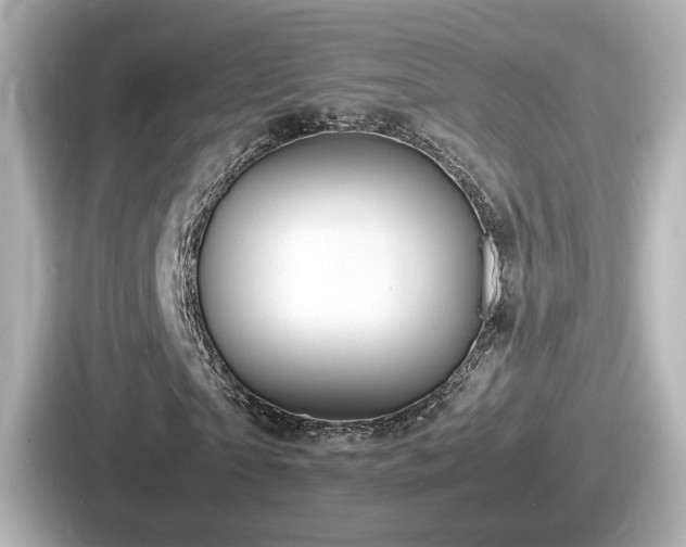 X0000087640865200705101045