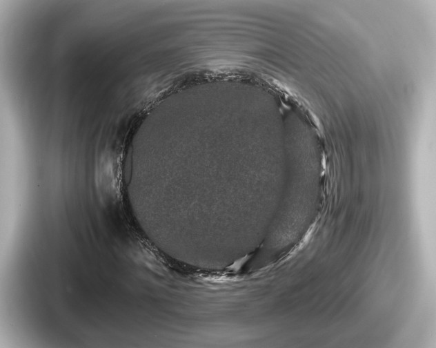 X0000087640868200705101045