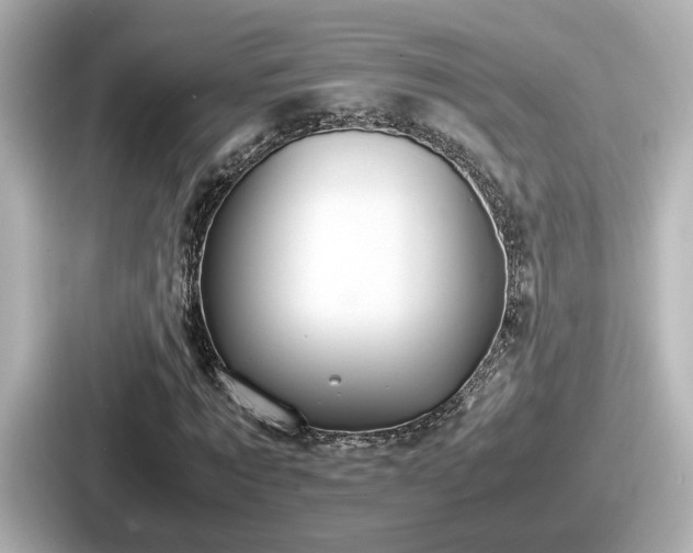 X0000087640869200705101045