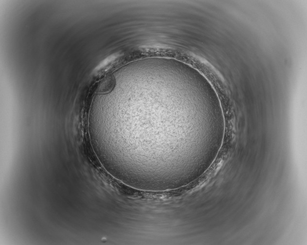 X0000087640870200705101045