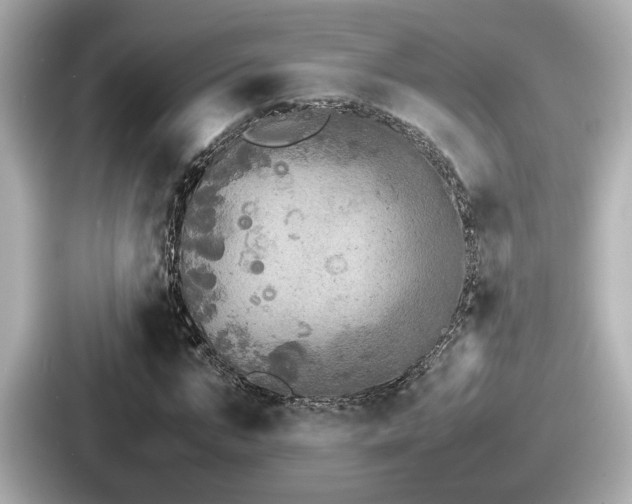 X0000087640871200705101045