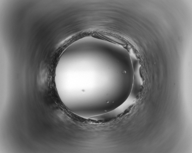 X0000087640872200705101045