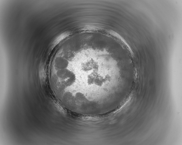 X0000087640874200705101045