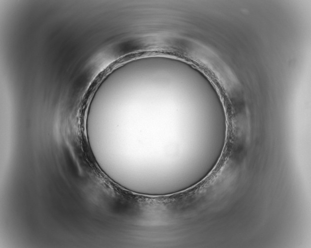 X0000087640875200705101045