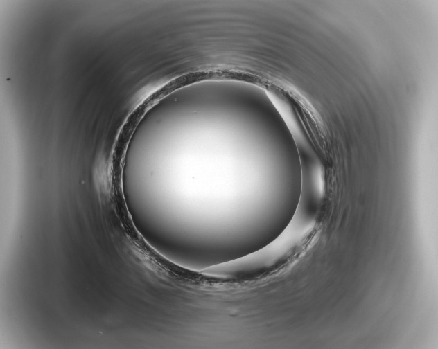 X0000087640876200705101045