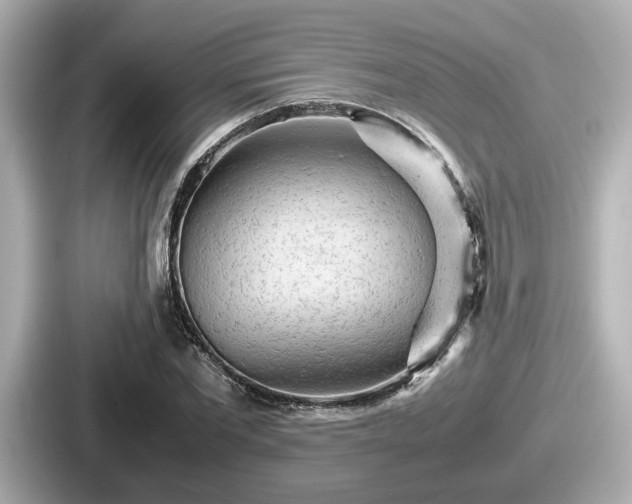 X0000087640877200705101045