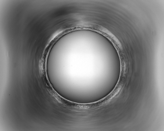 X0000087640878200705101045