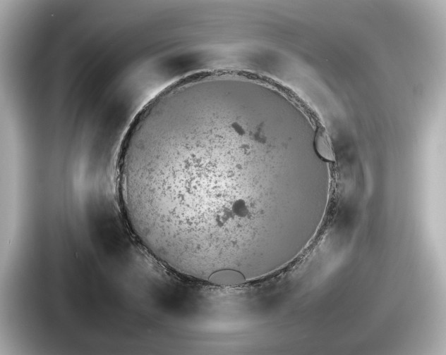 X0000087640879200705101045