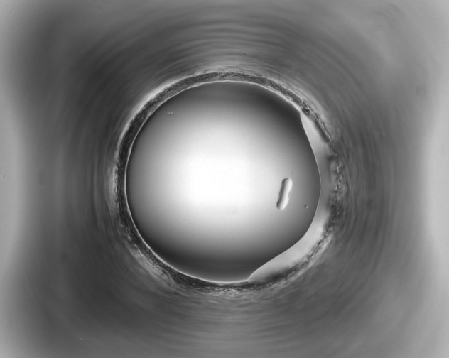 X0000087640880200705101045