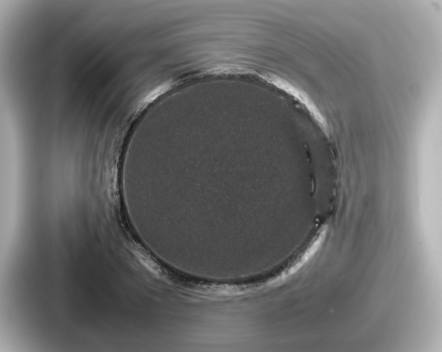 X0000087640881200705101045