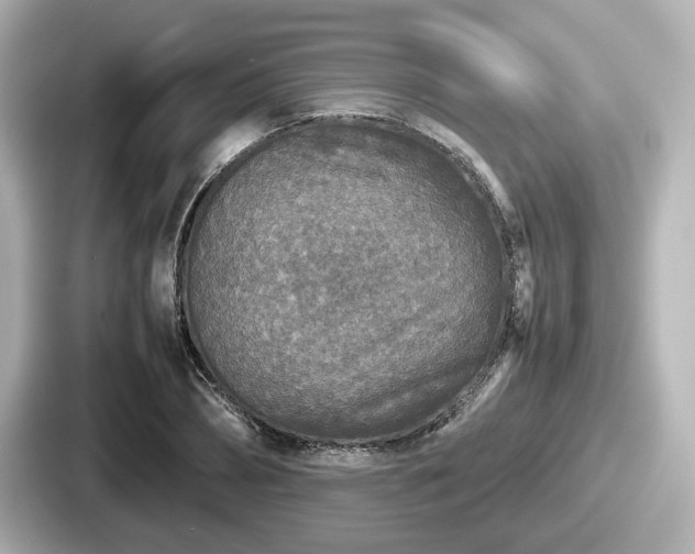 X0000087640882200705101045