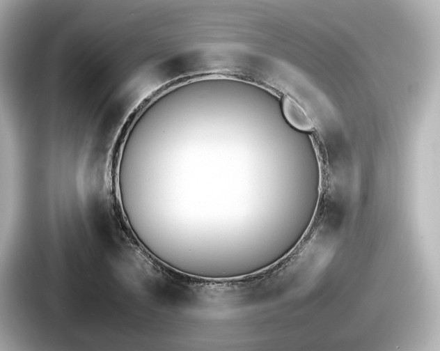 X0000087640883200705101045