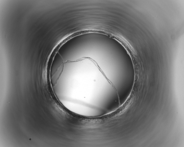 X0000087640884200705101045