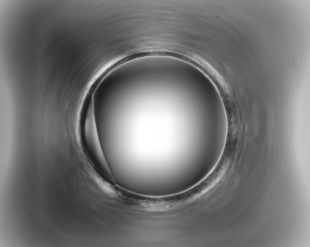 X0000087640885200705101045