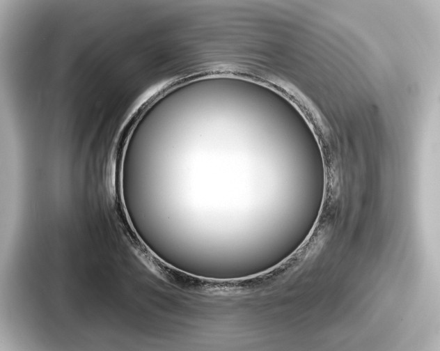 X0000087640886200705101045