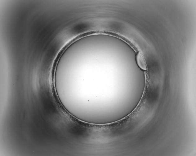 X0000087640887200705101045