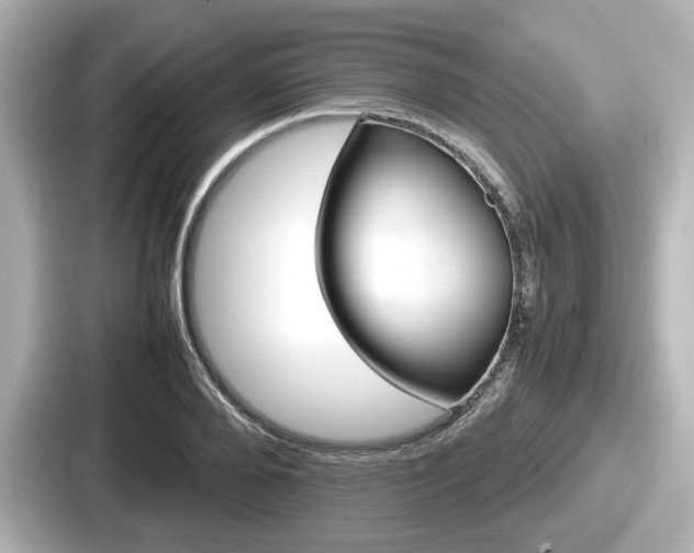 X0000087640888200705101045