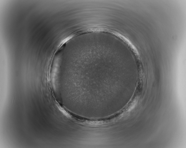 X0000087640889200705101045