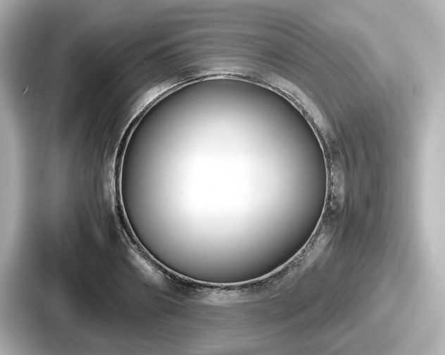 X0000087640890200705101045