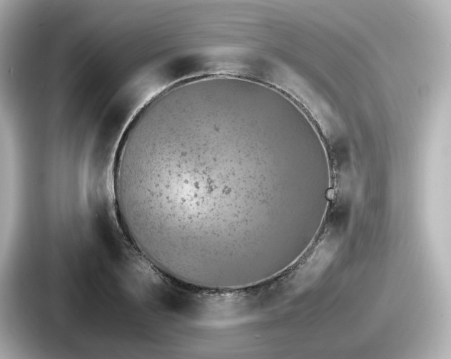 X0000087640891200705101045