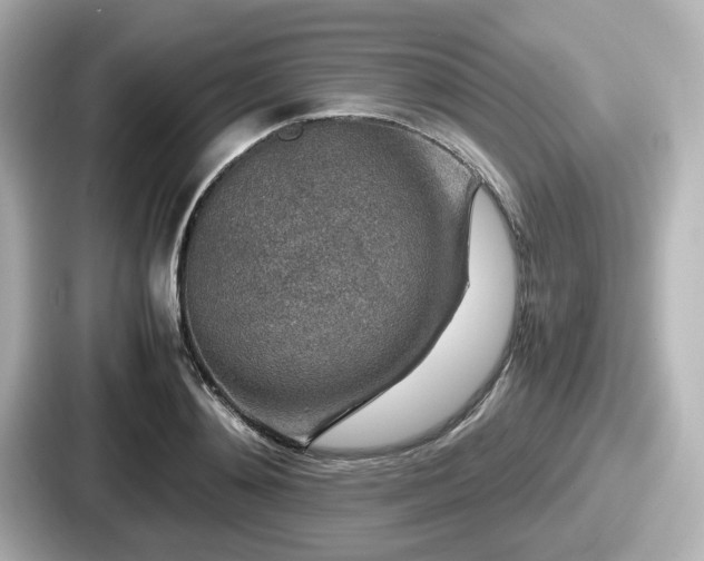 X0000087640892200705101045