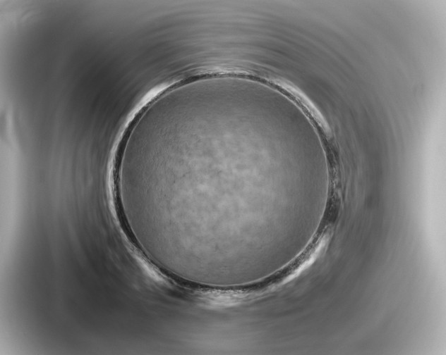 X0000087640893200705101045