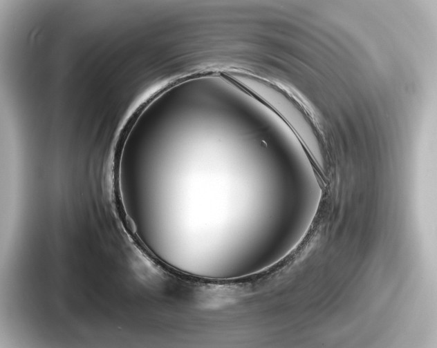 X0000087640894200705101045