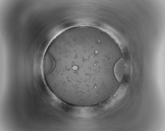 X0000087640895200705101045