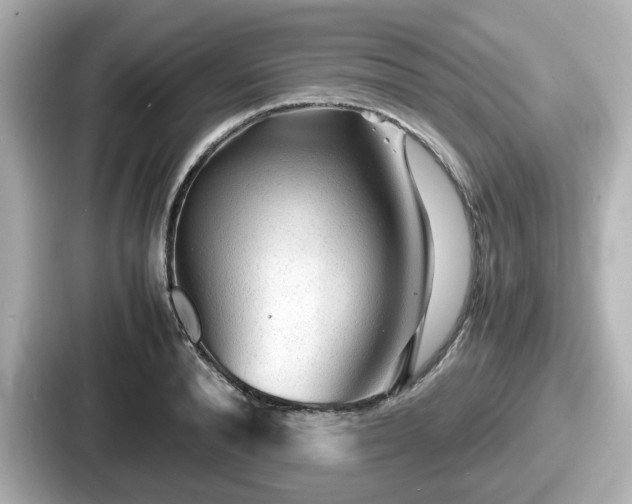 X0000087640896200705101045