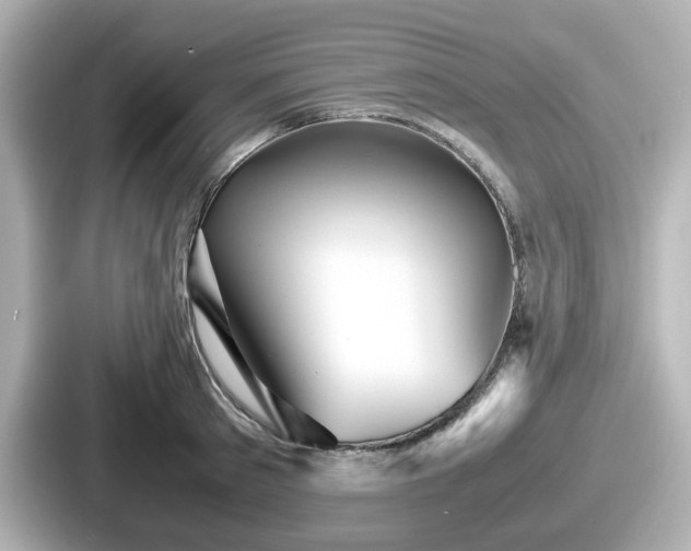 X0000087640897200705101045