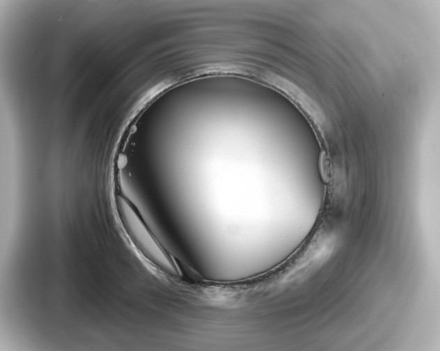 X0000087640898200705101045