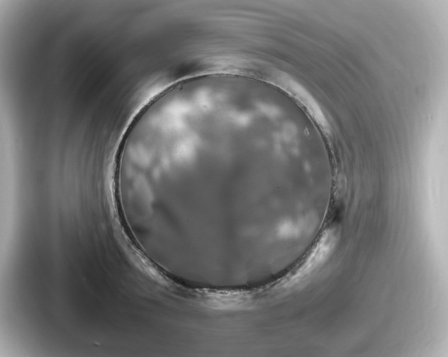 X0000087640899200705101045