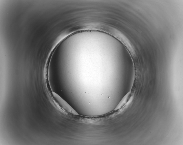 X0000087640900200705101045