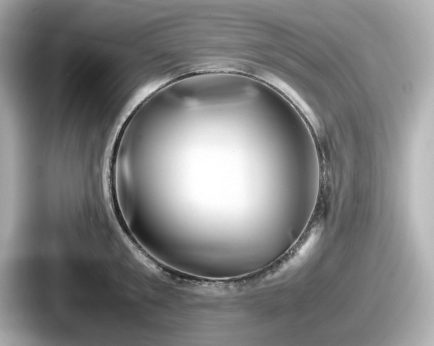 X0000087640901200705101045