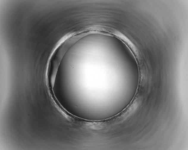 X0000087640902200705101045