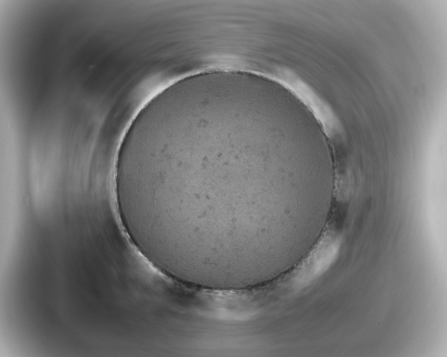 X0000087640903200705101045