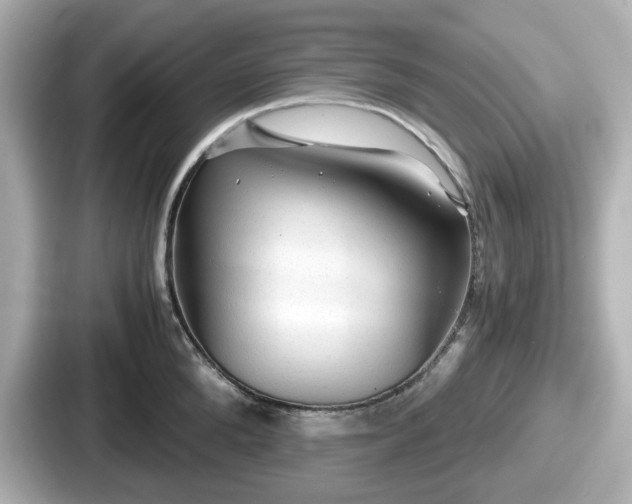 X0000087640904200705101045