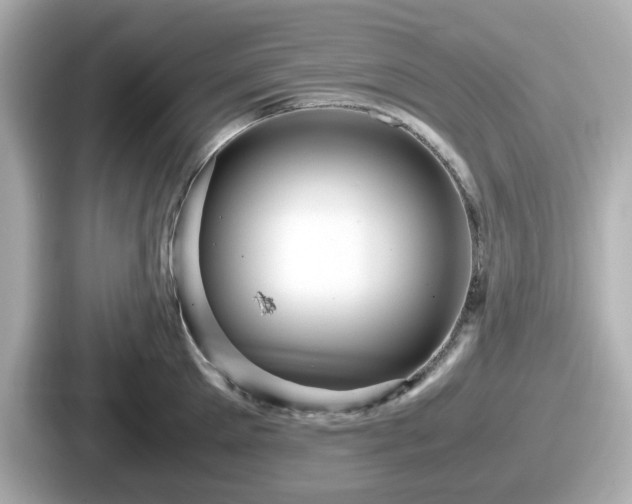 X0000087640905200705101045