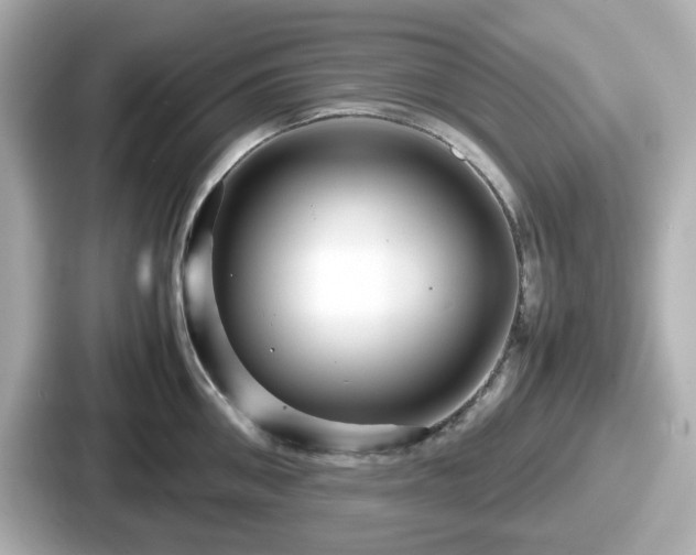 X0000087640906200705101045