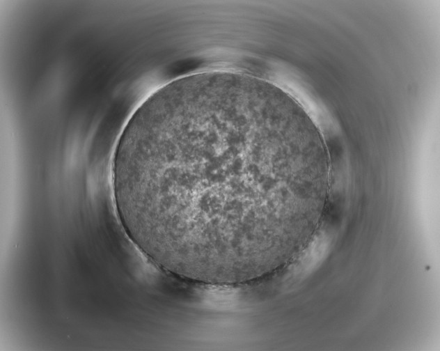 X0000087640907200705101045