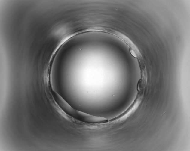 X0000087640908200705101045