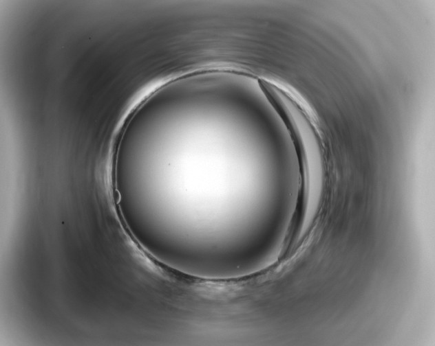 X0000087640910200705101045