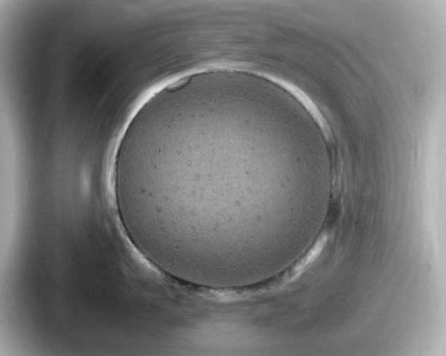 X0000087640911200705101045