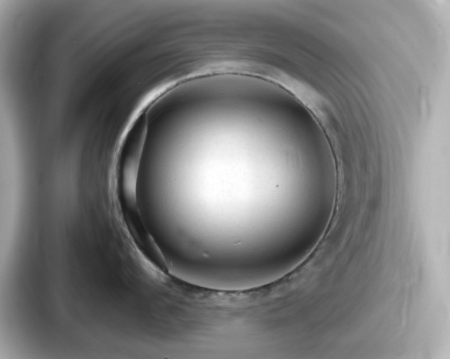 X0000087640912200705101045